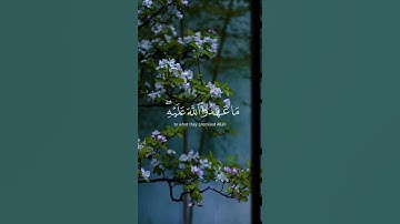 سورة الأحزاب #القارئ_بدر_التركي #اكسبلور #راحة_نفسية #دويتو #قران #duet #اكسبلورر #لايك #تلاوه