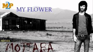 Ta Goli Singer Mojtaba Pourtarrah