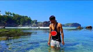 Download Lagu It's fun to swim while looking for fish on the beach MP3