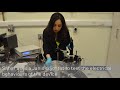 AMBER Researcher Profile: Sahar