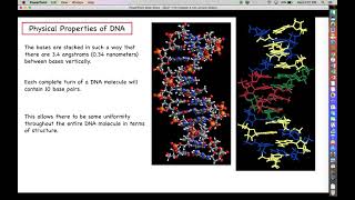 Intro. to Biotechnology - Chapter 4 Part 1 - DNA Structure and Function
