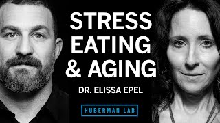 Dr. Elissa Epel: Control Stress for Healthy Eating, Metabolism \& Aging | Huberman Lab Podcast