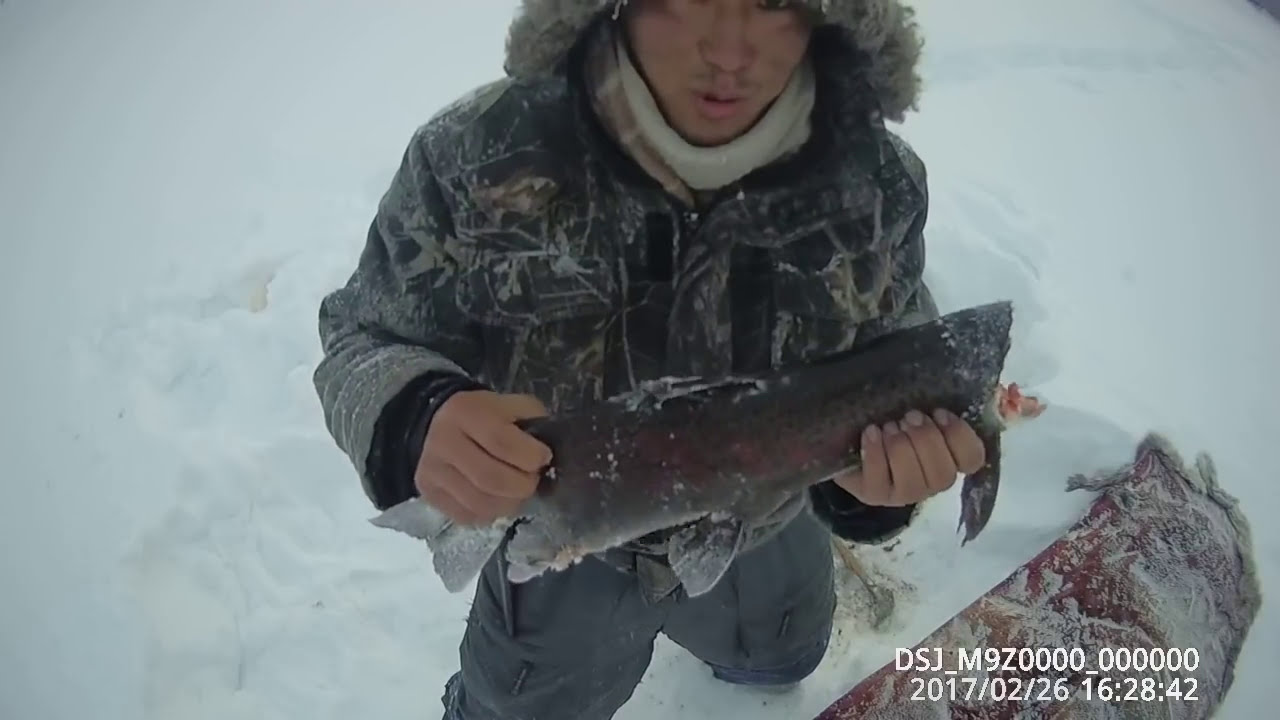 Russia заключительный день рыбалки на ленка — вот она удача Yakutia