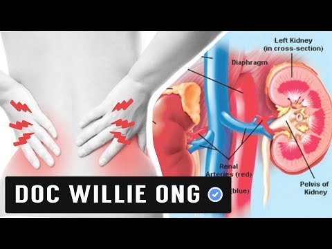 How to Lower your Creatinine: Healthy Foods - by Doc Willie Ong