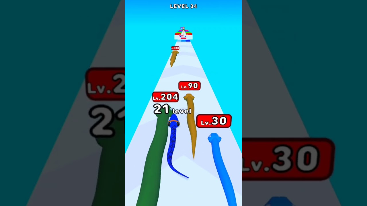 Colorful Snakes All Levels Gameplay | Multicolored snakes | D Lady Ninja 