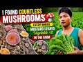Mushroom Hunting in the Farm 🍄 | Everywhere Green Mustard Leaves Vegetable 🌿 ‎⁨@sanzoivlog