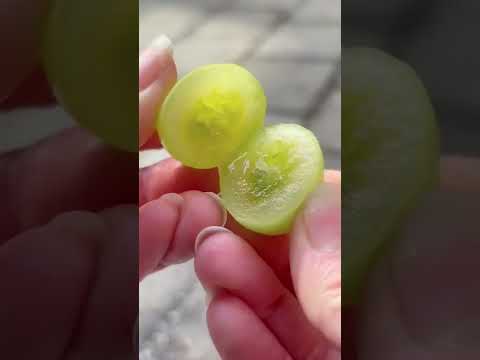 Video: Grape Jam Thiab Jellies - Dab tsi yog Grapes Zoo Rau Jam lossis Jelly Los Ntawm Lub Vaj