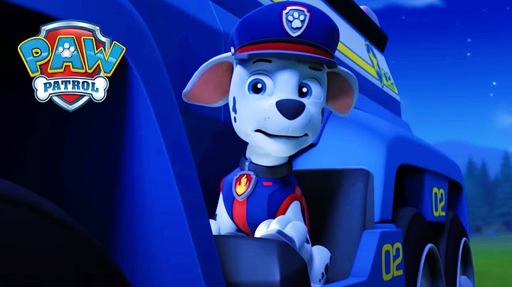 警察小狗 - PAW Patrol 汪汪隊立大功 - 兒童卡通