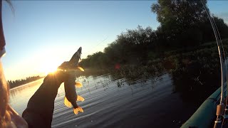 Красота утреннего рассвета проведённого на воде.. Тишина, дымка, щука!