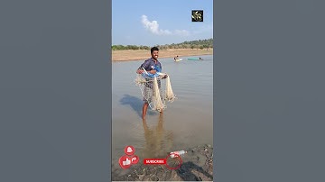 cast net throwing in a simple way #telangana #fish #fishing #castnetfishing #castnet #shorts #short