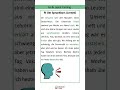 German reading for beginners 🇩🇪 #deutschlernen #deutsch #learngerman #deutschkurs