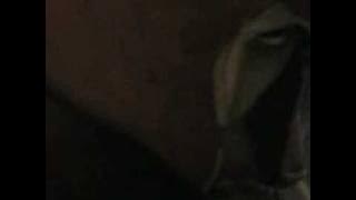 Prince of Persia Warrior Within : Godsmack - I stand Alone