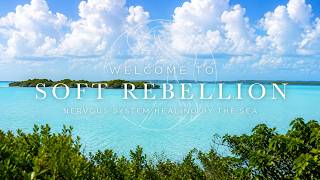 Welcome to Soft Rebellion | Nervous System Healing by the Sea screenshot 5