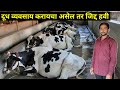 दूध व्यवसाय करताय तर जिद्दीने करा | Dairy farming in difficult condition | Dudh vyavsay in marathi