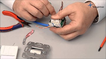 data outlet AMJ45 K Cat.6A assembly | Telegärtner