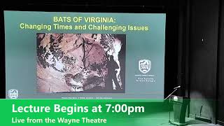 Helping Bats Survive: The Importance of Bats in Your World