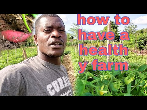 come and let us have a walk on the farm, how to make your farm healthy and grow productively