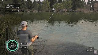 Pro Fishing Simulator PS4