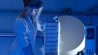 BIODATENBANK: Dänemark macht den Menschen noch gläserner
Short documentary produced for science program TM Wissen for the Austrian channel ServusTV/Red Bull TV.
Directed by Robert W.K. Styblo BIODATENBANK: Dänemark macht den Menschen noch gläserner