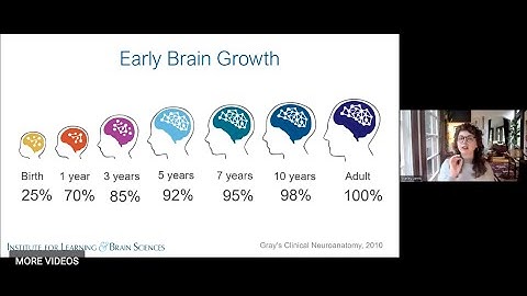 Building Brains: Exploring the Science of Early Brain Development