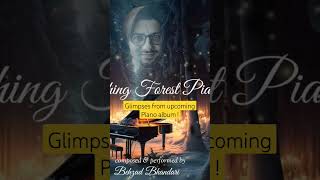 soothing forest piano glimpses