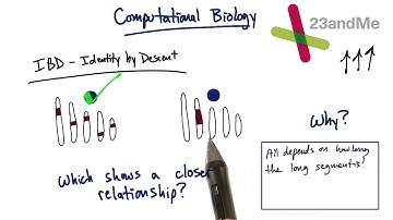 Genetics and Coding - Tales from the Genome