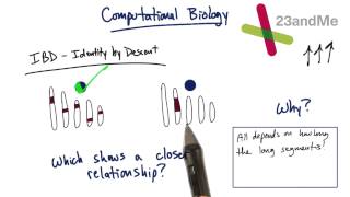 Genetics and Coding - Tales from the Genome