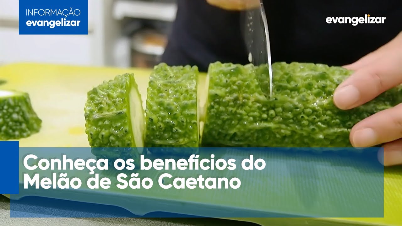 Beneficios Do Melão De São Caetano Para Diabetes