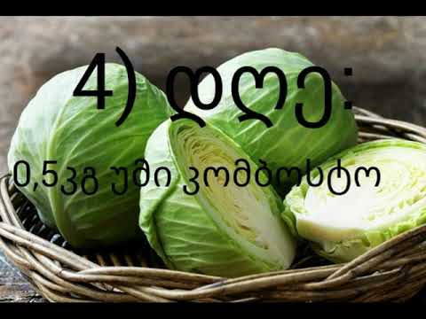 16 დღიანი დიეტა