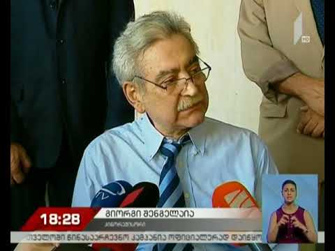 საინიციატივო ჯგუფმა გიორგი შენგელაია პრეზიდენტობის კანდიდატად წარადგინა