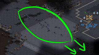 Biggest Vulture Run-by Of All Time?