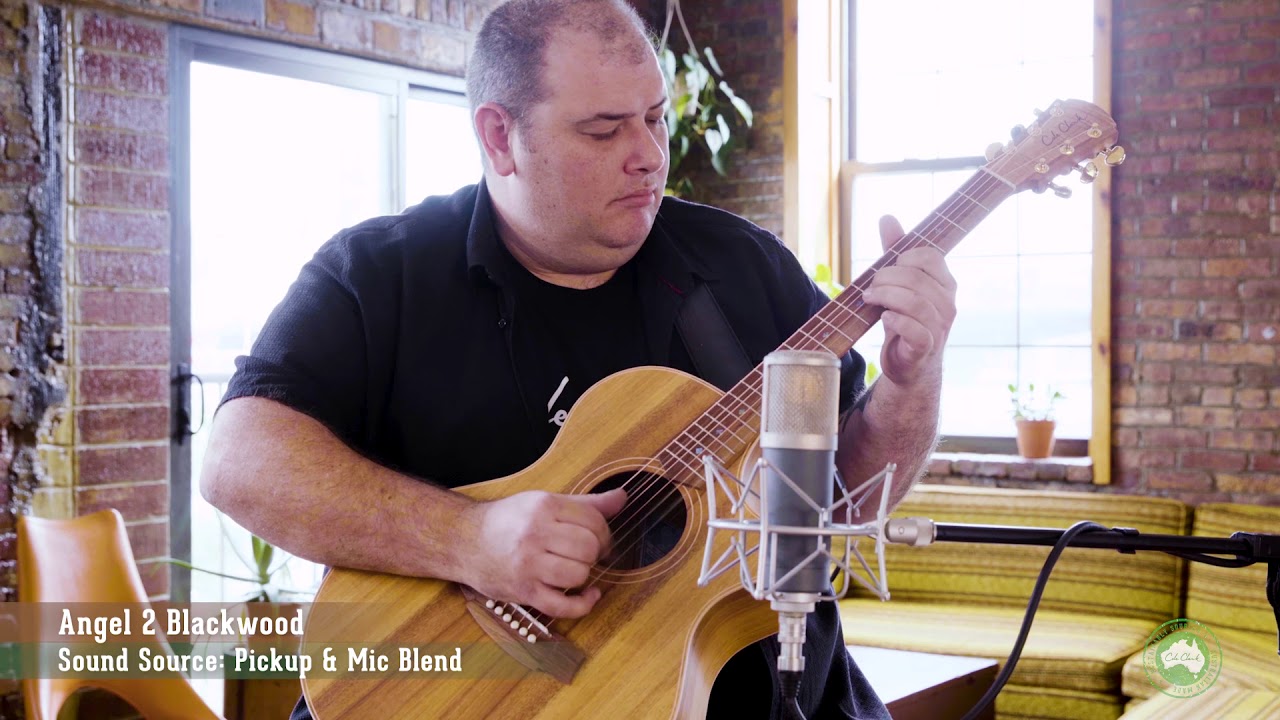 Cole Clark: AN2EC Blackwood Sound Demo - YouTube