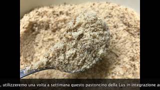 Una Vera Delizia Per Gli Uccelli