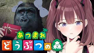 【あつ森】 プレゼント開けながら雑談 [にじさんじ/宇宙アイドル]