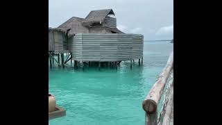 Maldives Diaries || #naturesatkar??