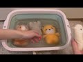 山奥のみんなの入浴介助！ととのいすぎに注意！【サウナかめ湯】