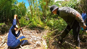 Đi săn rắn cực độc trong rừng lá | TGSB #441