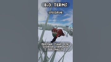 Bio/RP Terms for Warrior Cats: Ultimate Edition!