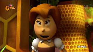 Arı Maya İyi Kalpli Eşek Arısı