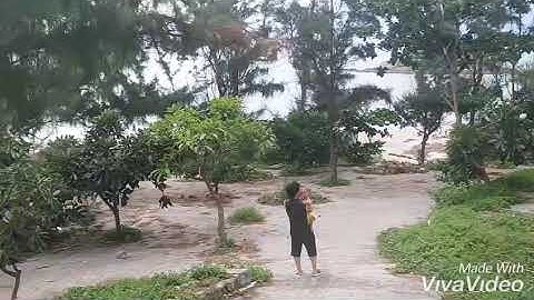 Kéo lưới cá ở bãi tắm Hòn Bà (Vũng Tàu) - Fishing at beach in front of Hon Ba island Vung Tau