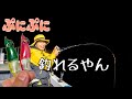 「ぷにぷに」の餌木がイカメタルに効くかどうかのテスト中に大物が掛かった‼️
