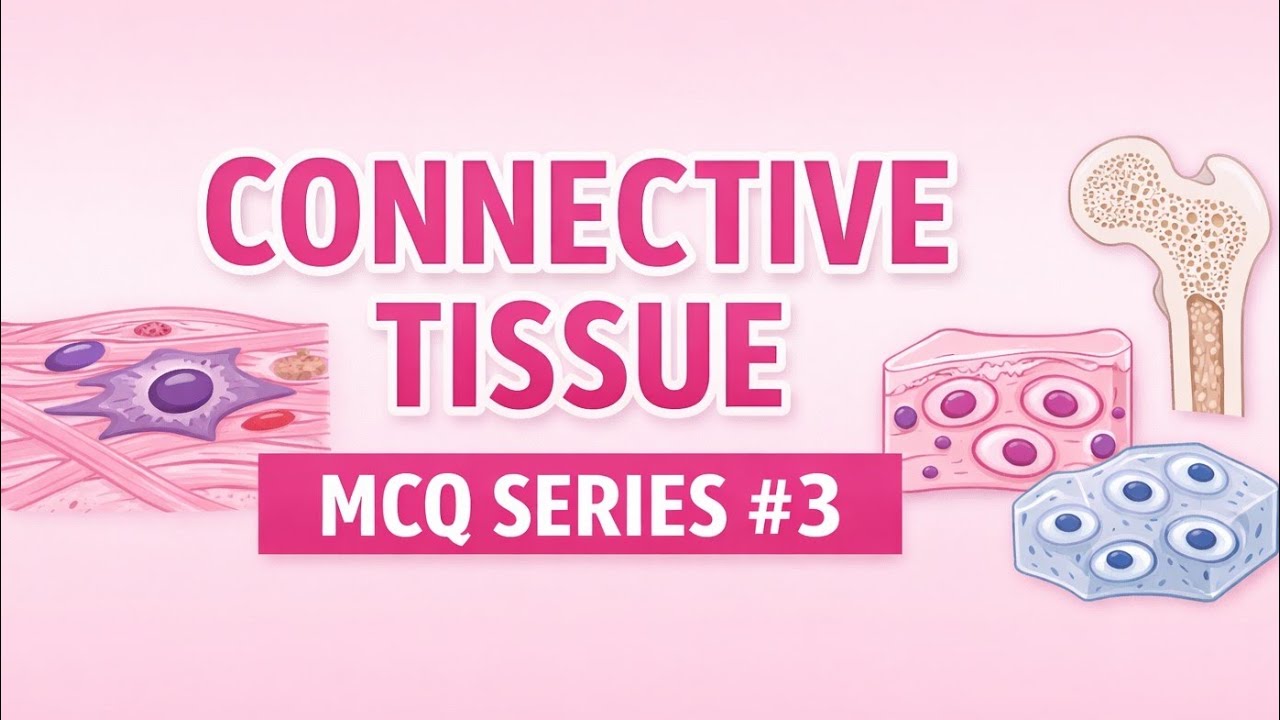 Connective Tissue |MCQs Series #3 🧬 | Anatomy| Most Important Questions 