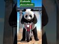wow ,Panda is riding the motor  bicyclr to reverse #comedy #trending y.t.shorts #viral