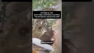 SHOCKING NEW BIGFOOT VIDEO #bigfoot