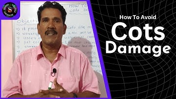 How To Control Cots Damage || Effective Cost Control & Quality Yarn || Sahoo Textile Academy