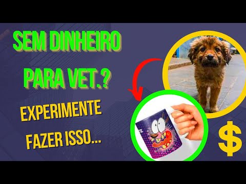 Vídeo: Pergunte a um veterinário: É seguro levar meu cachorro correndo comigo?