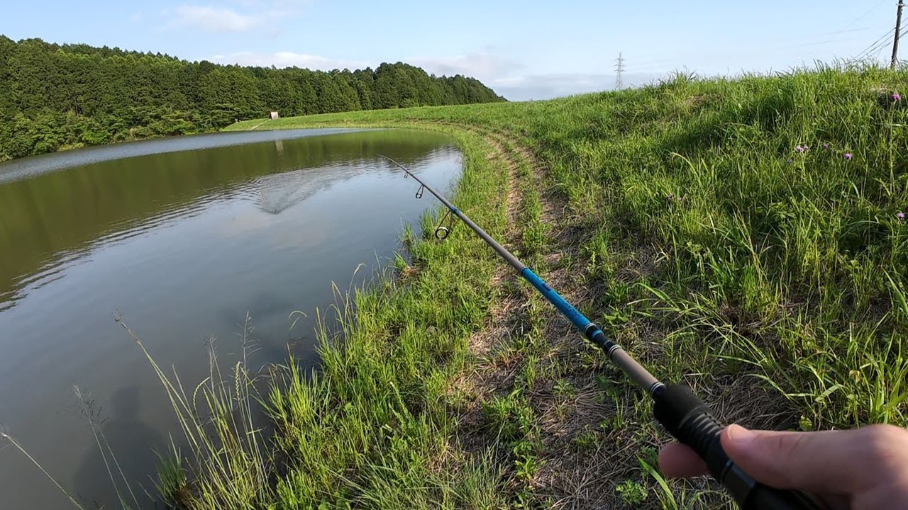 佐賀でバス釣り！