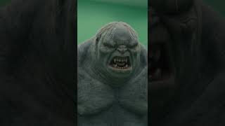 Lord of the Rings Troll on a Green Screen #lordoftheringsmemes #lotr