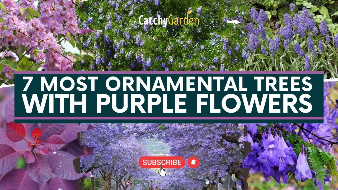 7 Most Beautiful Ornamental Trees With Purple Flowers 🌷🌳 // Gardening