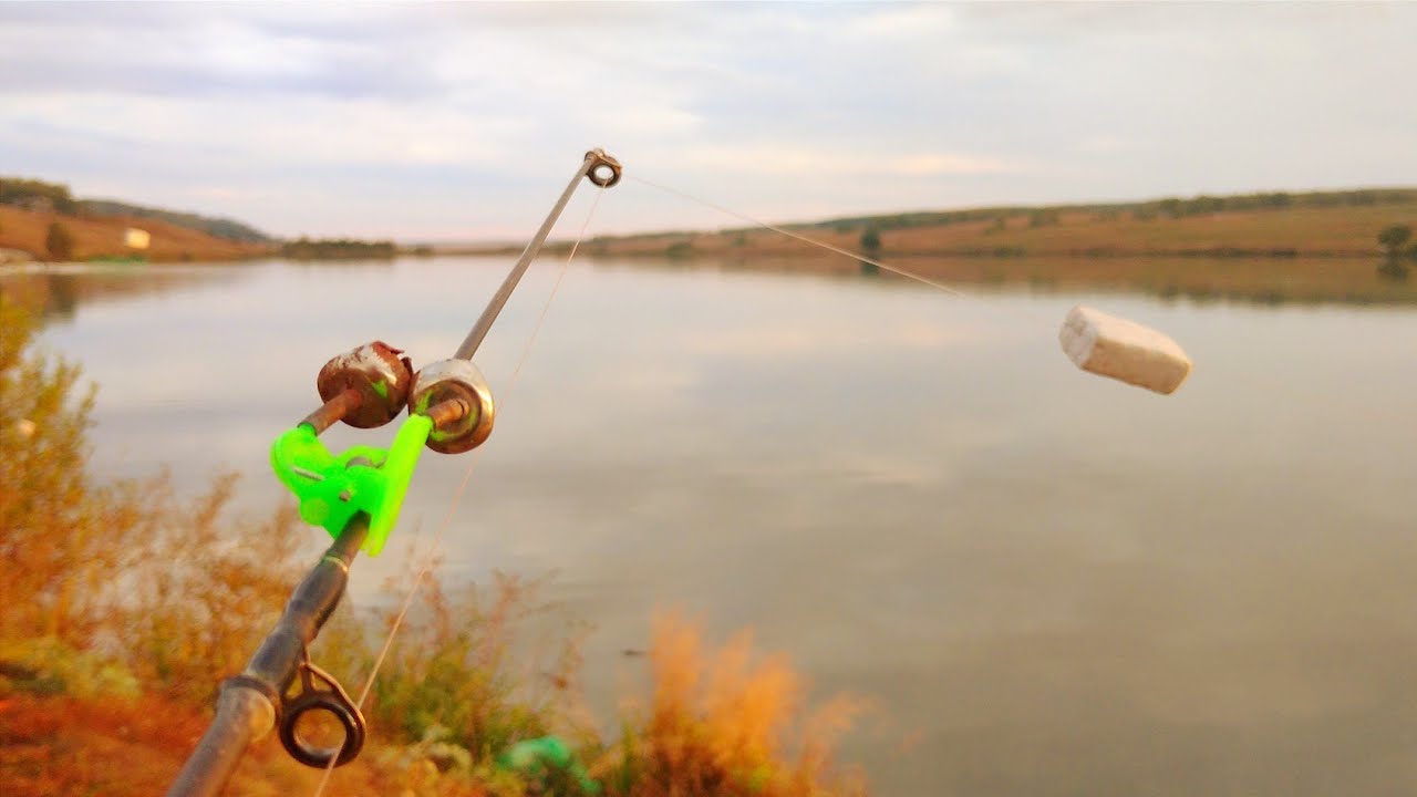 РЫБАЛКА НА САЗАНА И БЕЛОГО АМУРА В СЕРЕДИНЕ СЕНТЯБРЯ. - YouTube